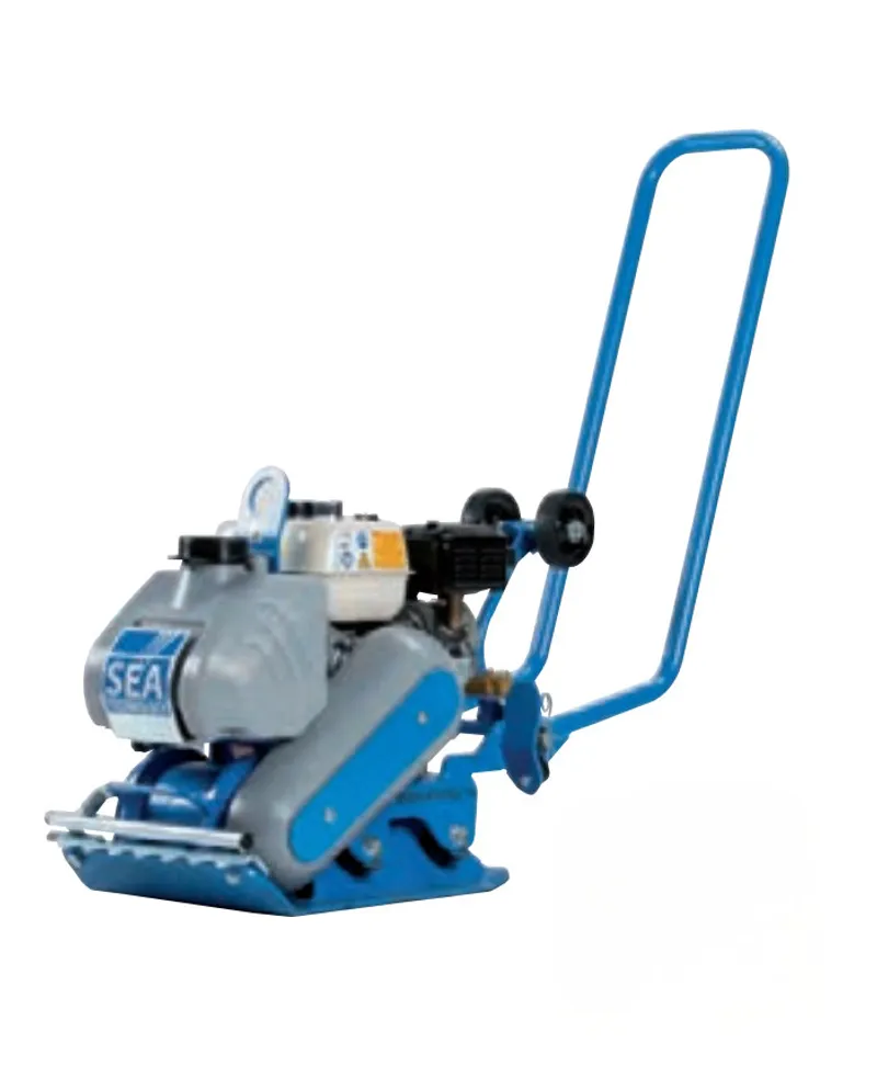 SEAPLATE 12/60 — SEA Technology