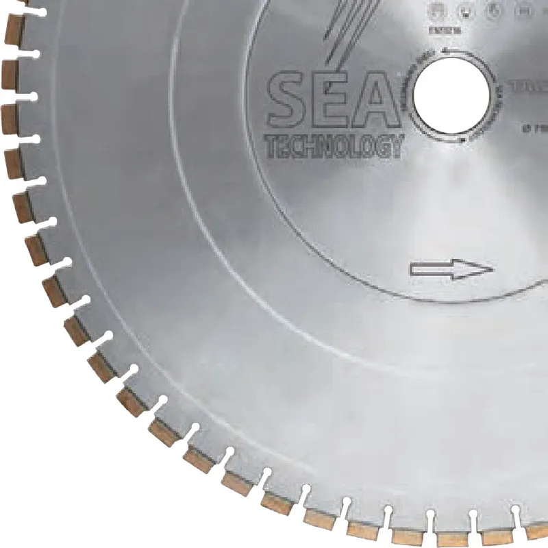 TAGLIOMURO DIECI — SEA Technology
