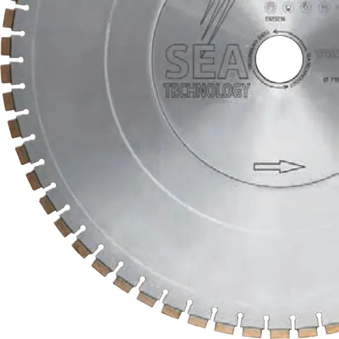 TAGLIOMURO DIECI — SEA Technology